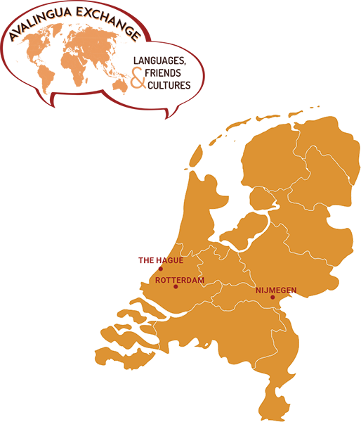 avalingua-exchange-netherlands